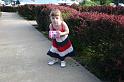 Picture 7452